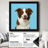 Custom pet portrait painting, personalized dog wall art of a Border Collie, framed pet gift.