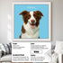 Custom pet portrait of happy Border Collie dog, personalized 'Pappy' dog painting, pet wall art gift framed white.
