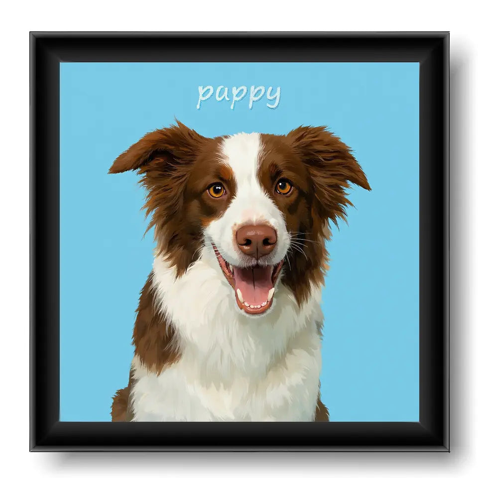 Custom pet portrait of a happy brown and white Border Collie, personalized dog painting, ideal pet wall art gift.
