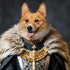 Regal Corgi dog portrait in historical noble attire with fur mantle and ornate gold necklace.