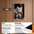Framed Cat with Royal Armor wall art, featuring vivid HD UV printing, clear acrylic panel, durable alloy frame, and versatile wall or tabletop display.