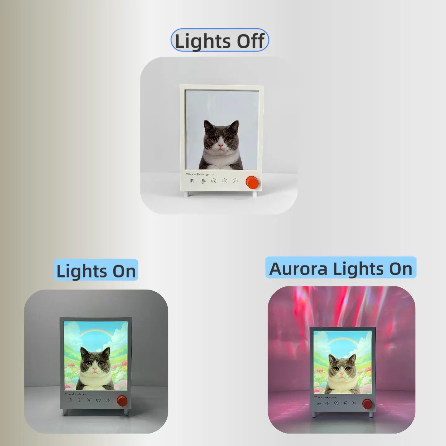 Custom pet lamp with Bluetooth and HiFi sound for any room