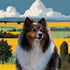 Custom Sheltie dog portrait in a field. Personalized pet painting, unique dog wall art gift.