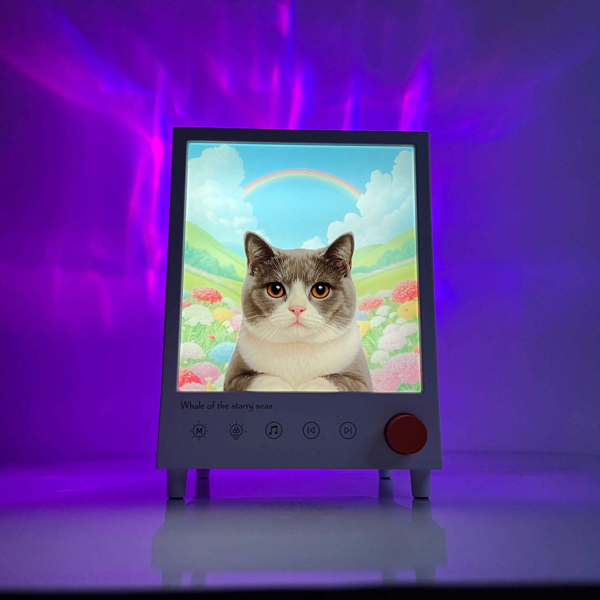 Custom pet lamp providing soft light and Bluetooth music for study areas