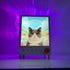 Custom pet lamp providing soft light and Bluetooth music for study areas