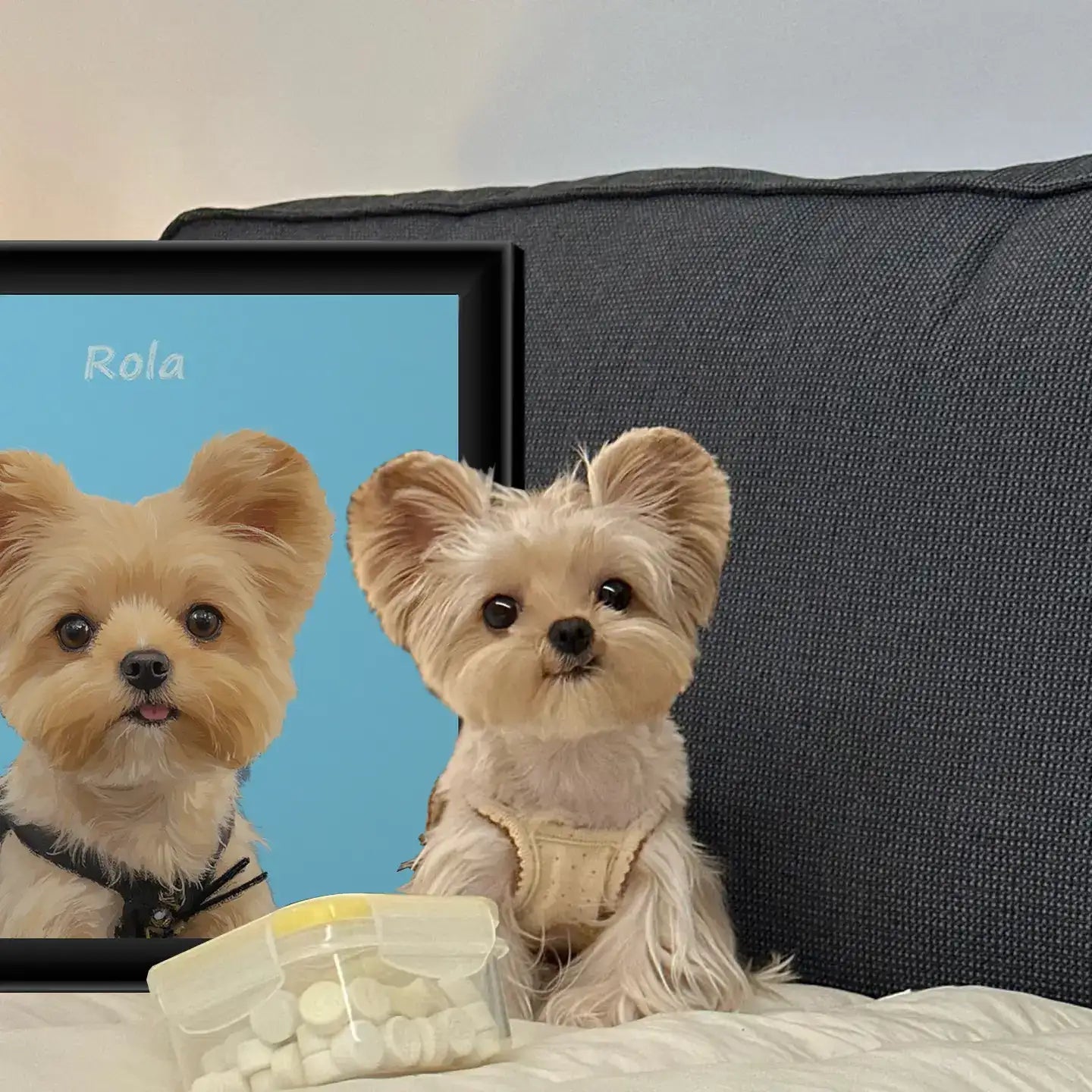 Custom pet portrait of Rola, a cute Yorkie. Personalized dog painting, ideal pet wall art gift, with real dog.