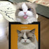 Playful Ragdoll cat with its custom pet portrait. Personalized cat painting, unique pet wall art gift.
