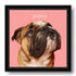 Framed bulldog puppy custom pet portrait, a personalized dog painting and unique pet wall art gift idea.
